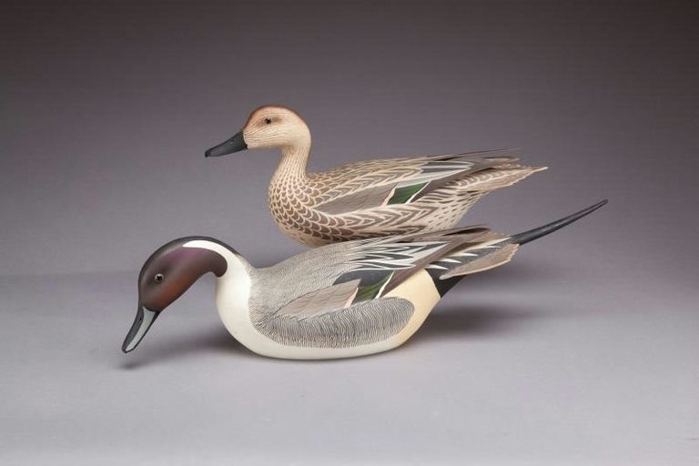 Frank C. Willis – Pintail Pair – 2013
