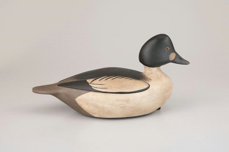 Marty Collins – Goldeneye – 2026