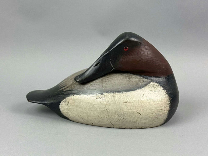 Mike Borrett – Canvasback Drake – 2026