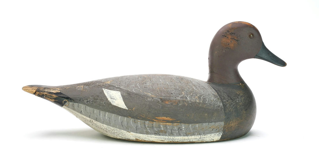 Joseph Lincoln – Puddle Duck – 2025