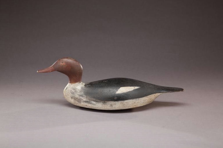 Allen P. Stuart – Red-breasted Merganser Hen – 2012