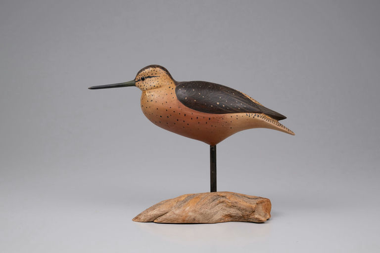 Bob White – Red Knot – 2026
