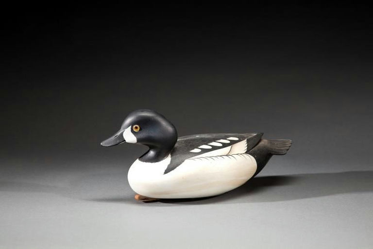 George Strunk – Barrow's Goldeneye Drake – 2016