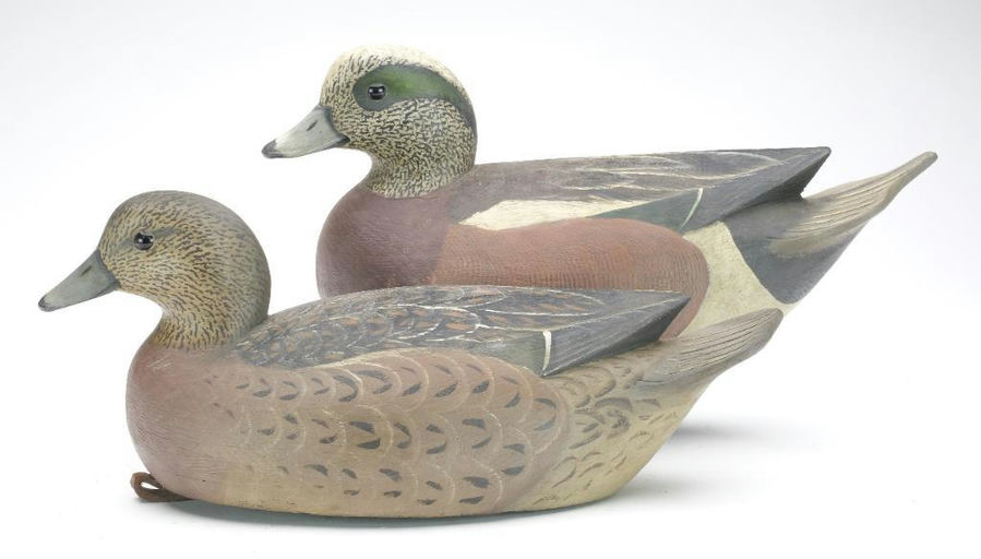 Reggie Birch – Wigeon – 2023