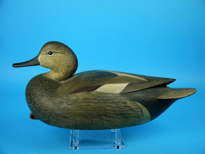 Cameron McIntyre – Gadwall Drake – 2026