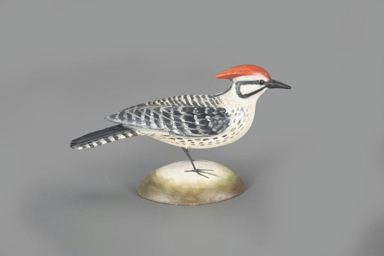 Frank Finney – Ladder-Backing Woodpecker – 2024