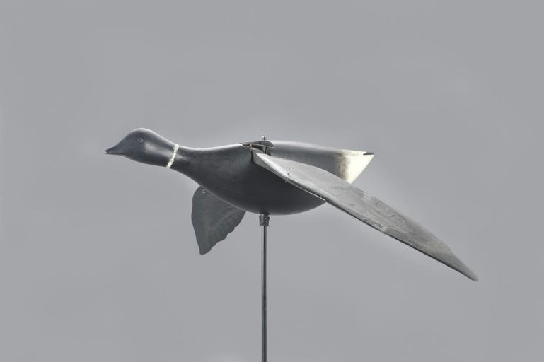 George William McLellan – Flying Brant – 2023