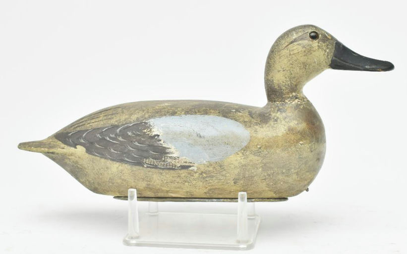 Robert Elliston – Blue-winged Teal – 2023