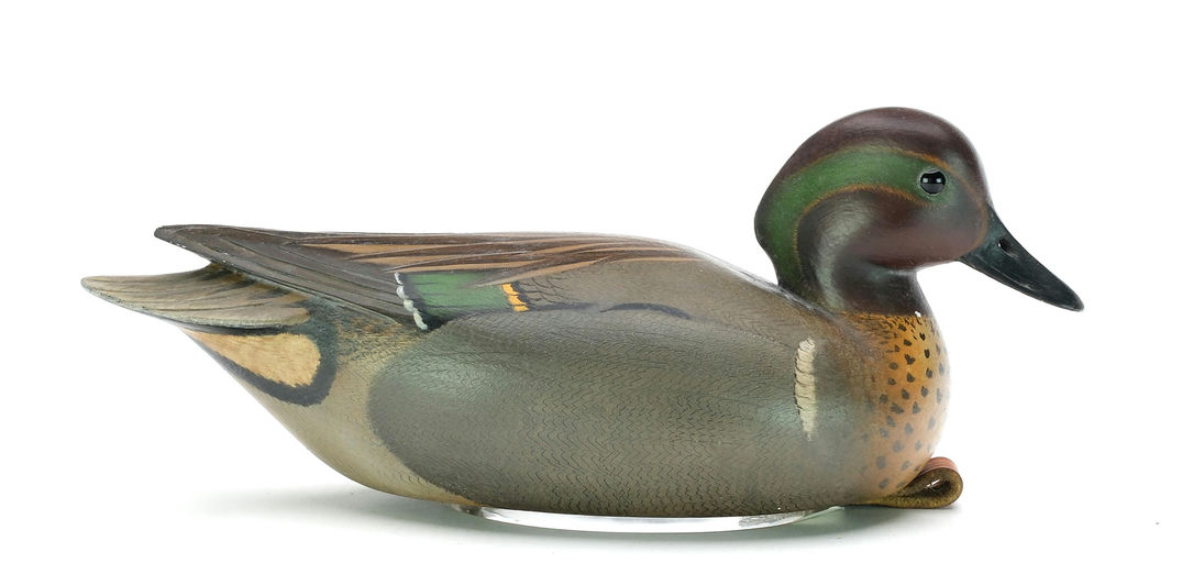 Bill Gibian – Green-winged Teal – 2025