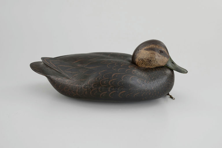 Joe Morgan – Black Duck – 2026