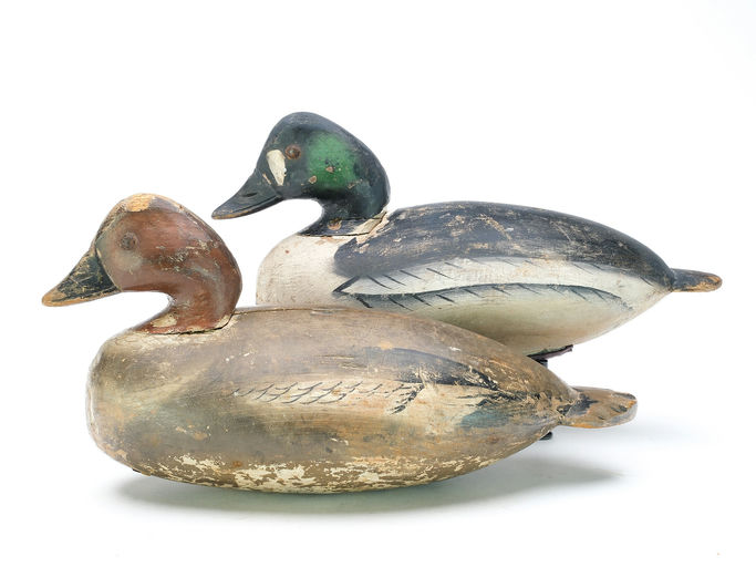 Ira Hudson – Pair of Goldeneye – 2025