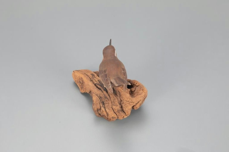 Jack and Bette Holt – Carolina Wren – 2021