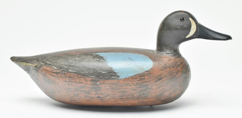 Charles Schoenheider, Sr. – Blue-winged Teal – 2023