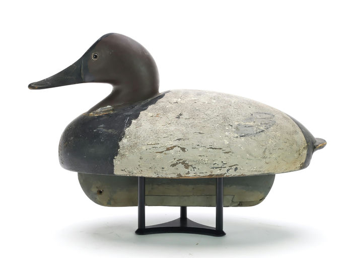Ferdinand Bach – Canvasback Drake – 2024
