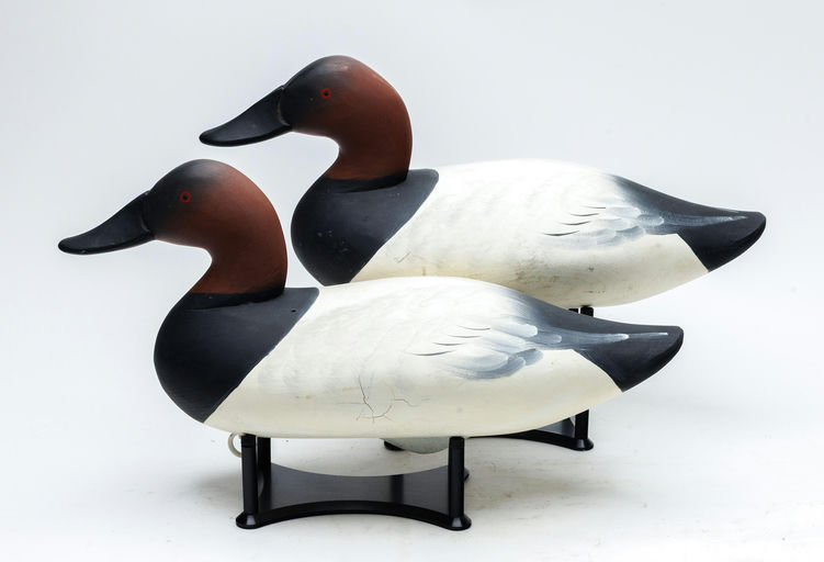 Charlie Joiner – Canvasback – 2026