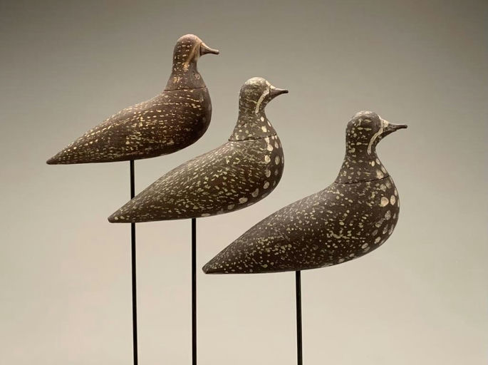 Coffin Family – Coffin Golden Plover Trio – 2021