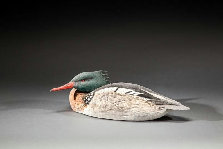 Roger C. Mitchell – Tucked-head Red-breasted Merganser – 2016