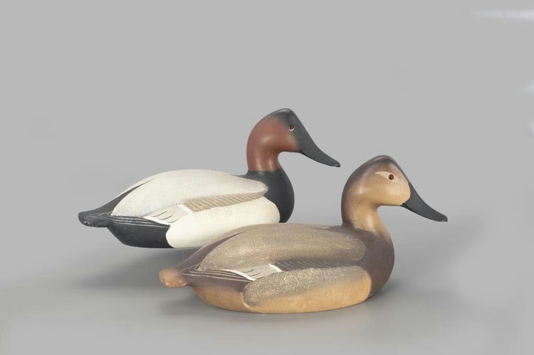 Ward Brothers – Mammoth Canvasback Pair – 2022