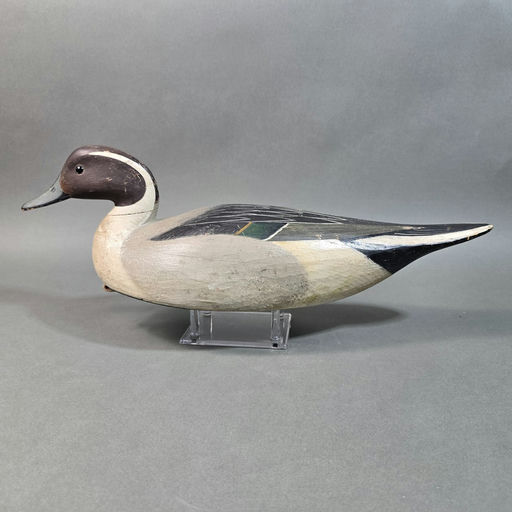 Mark McNair – Pintail – 2026