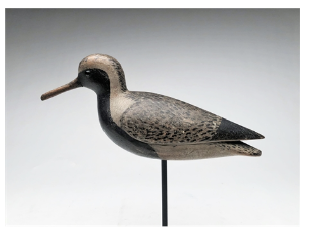 Mark McNair – Black Bellied Plover – 2021