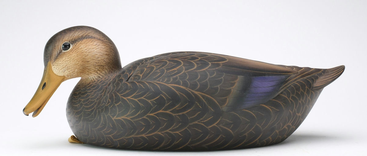 Josh Brewer – Black Duck – 2024