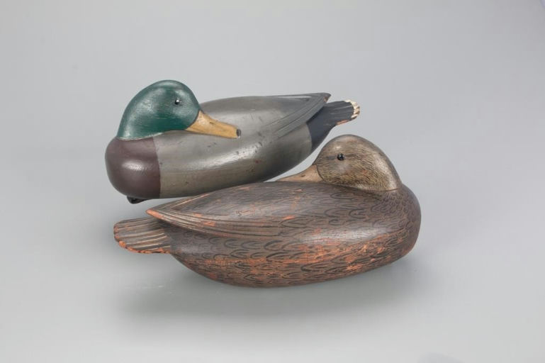 Jess Heisler – Exceedingly Rare Sleeping Mallard Pair – 2021