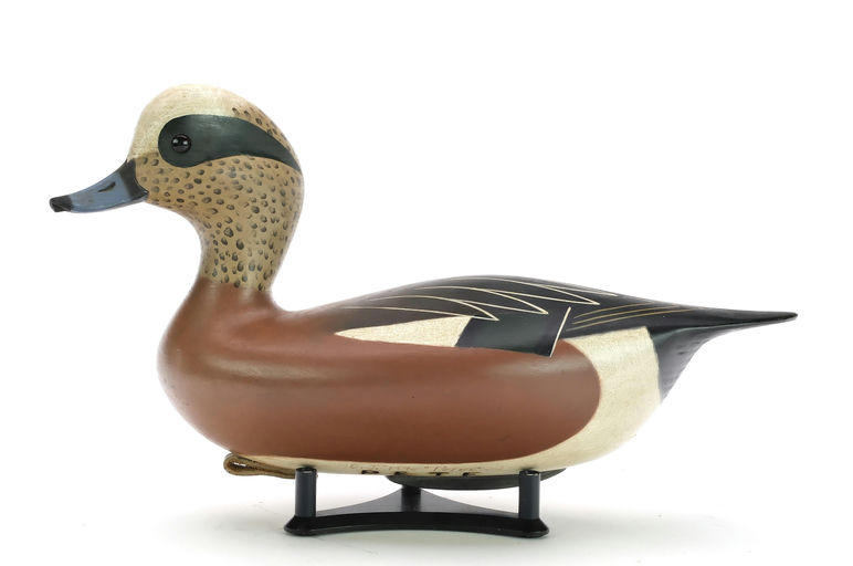 Pete Peterson – Wigeon – 2024