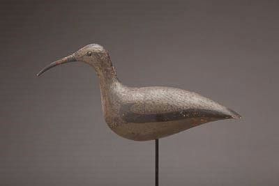 Swain Family – Curlew – 2012