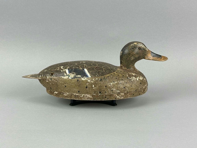 Joe Gigl – Mallard Hen Duck – 2026