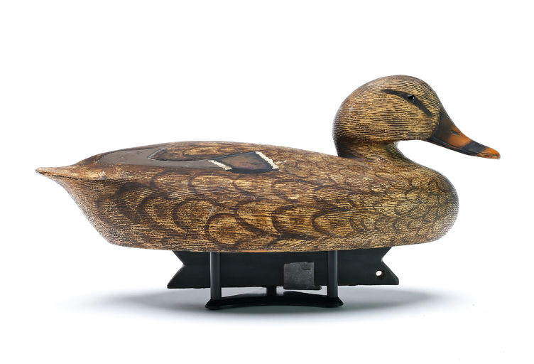 Ken Anger – Mallard – 2025