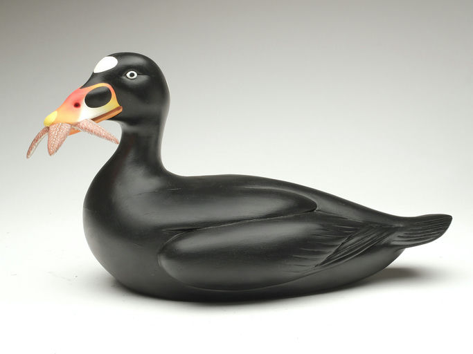 Keith Mueller – Decorative Scoter – 2023