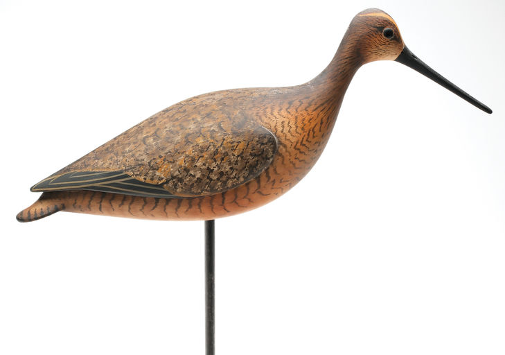 Bill Gibian – Dowitcher – 2026