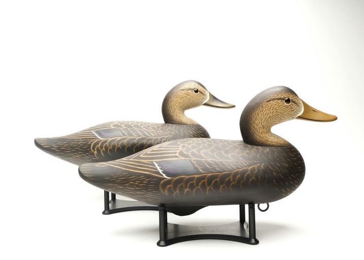Charlie Joiner – Pair of Black Duck – 2026