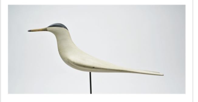 Mark McNair – Tern – 2021