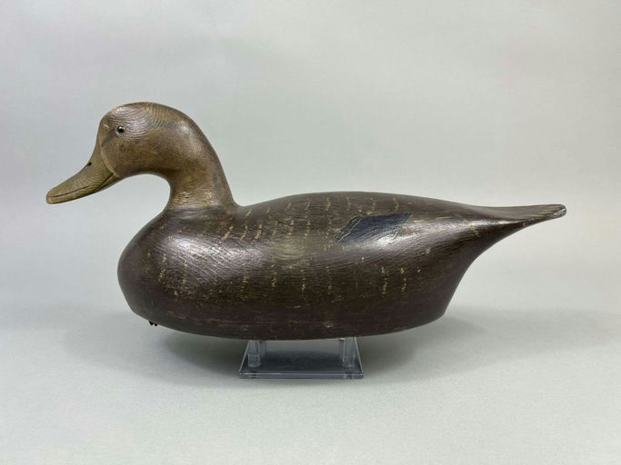 Ron Koch – Black Duck – 2026