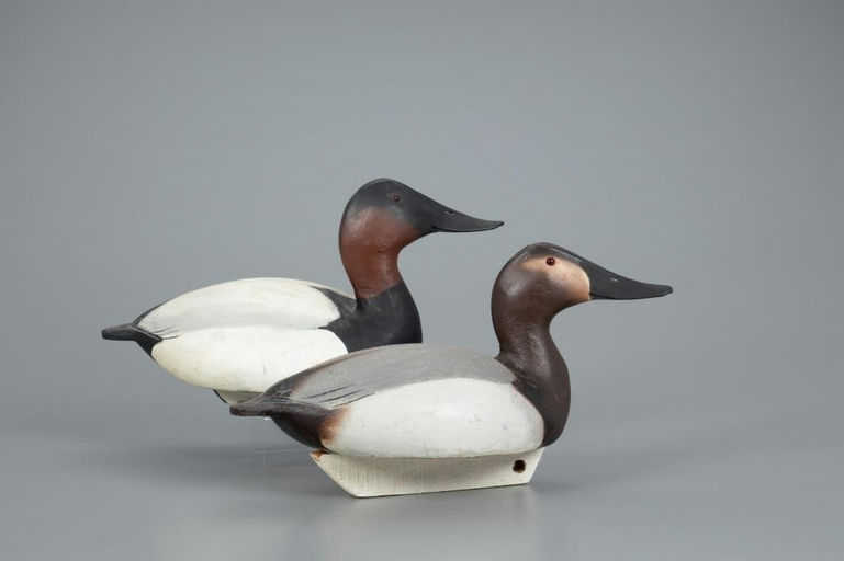 Ward Brothers – Canvasback Pair – 2020
