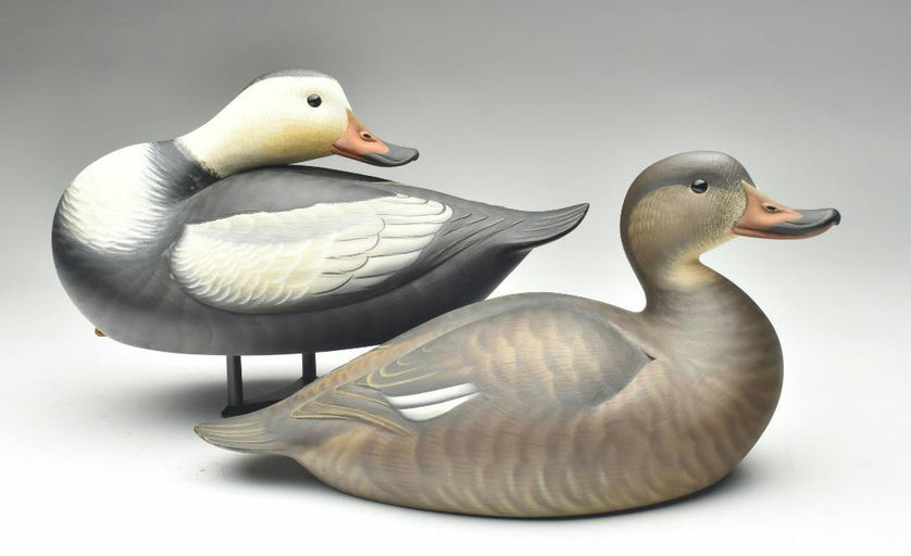 Josh Brewer – Labrador Duck – 2023
