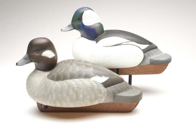 Tom Matus – Pair of Bufflehead – 2023
