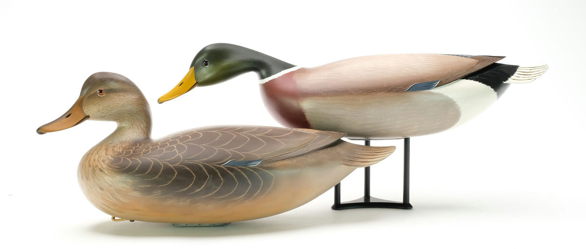 George Strunk – Pair of Mallard – 2025