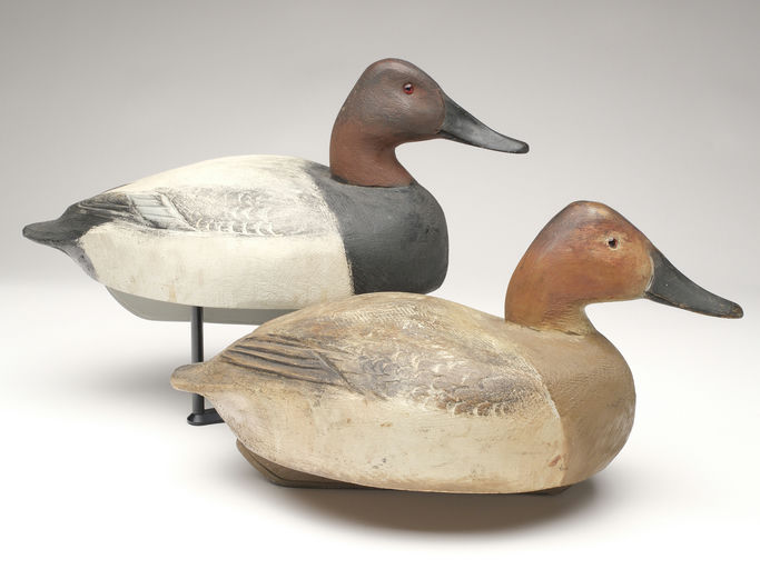 Ben Schmidt – Pair of Canvasbacks – 2023