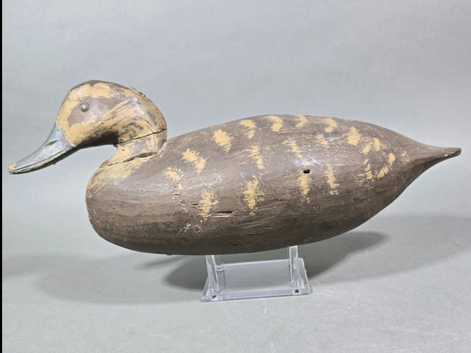 Ira Hudson – Black Duck – 2026