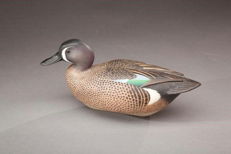 William Schultz – Blue-winged Teal Drake – 2012