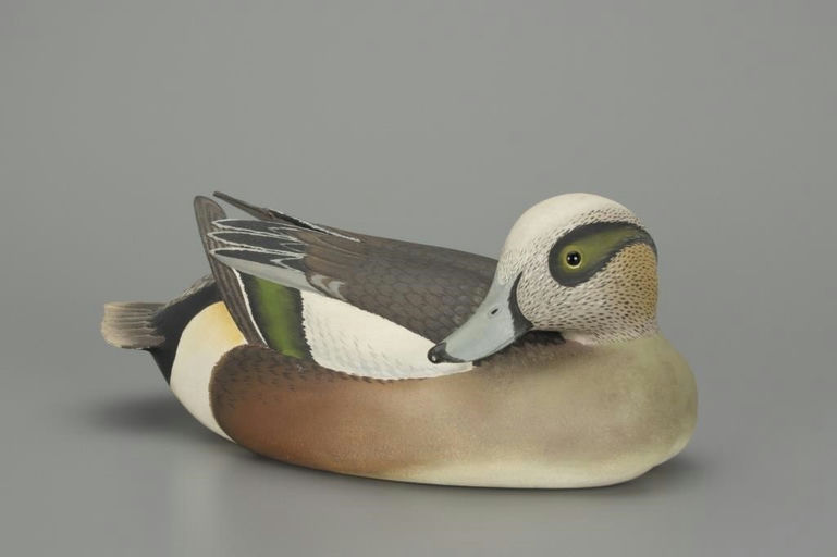 Oliver Lawson – Preening Wigeon – 2018