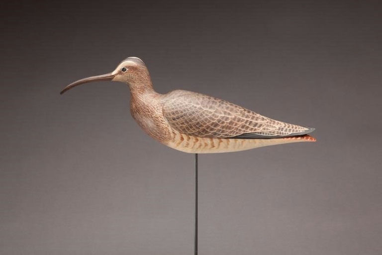 David Rhodes – Whimbrel – 2011