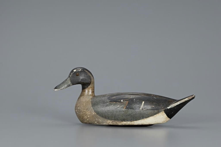 Heck Whittington – Pintail Drake – 2019