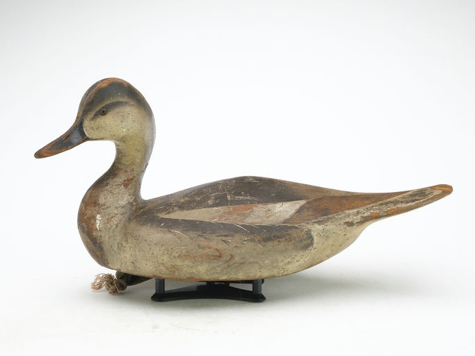 Ward Brothers – Pintail – 2024