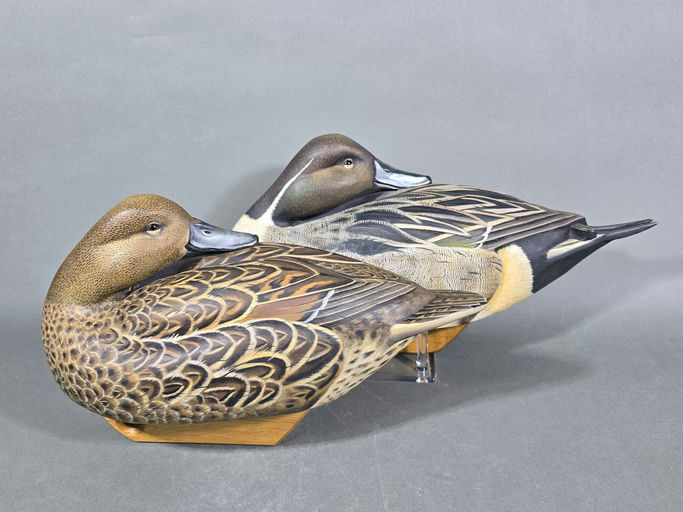 Robert Gohl — Pintail