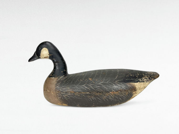 Harry V. Shourds – Canada Goose – 2024