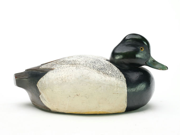 Tom Schroeder – Scaup – 2025