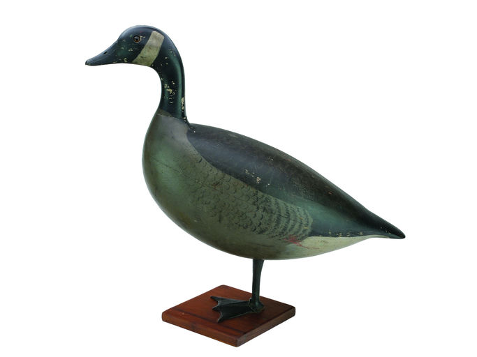 Charles Schoenheider, Sr. – Canada goose – 2024